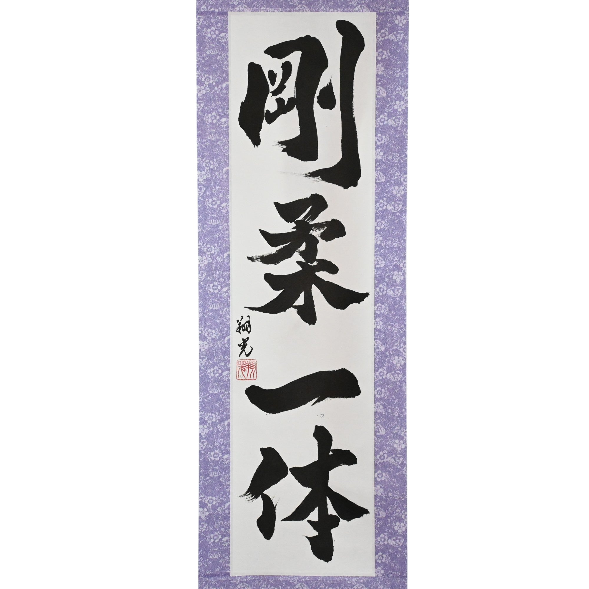 Harmony of Hard and Soft — 剛柔一体 Karate Spirit