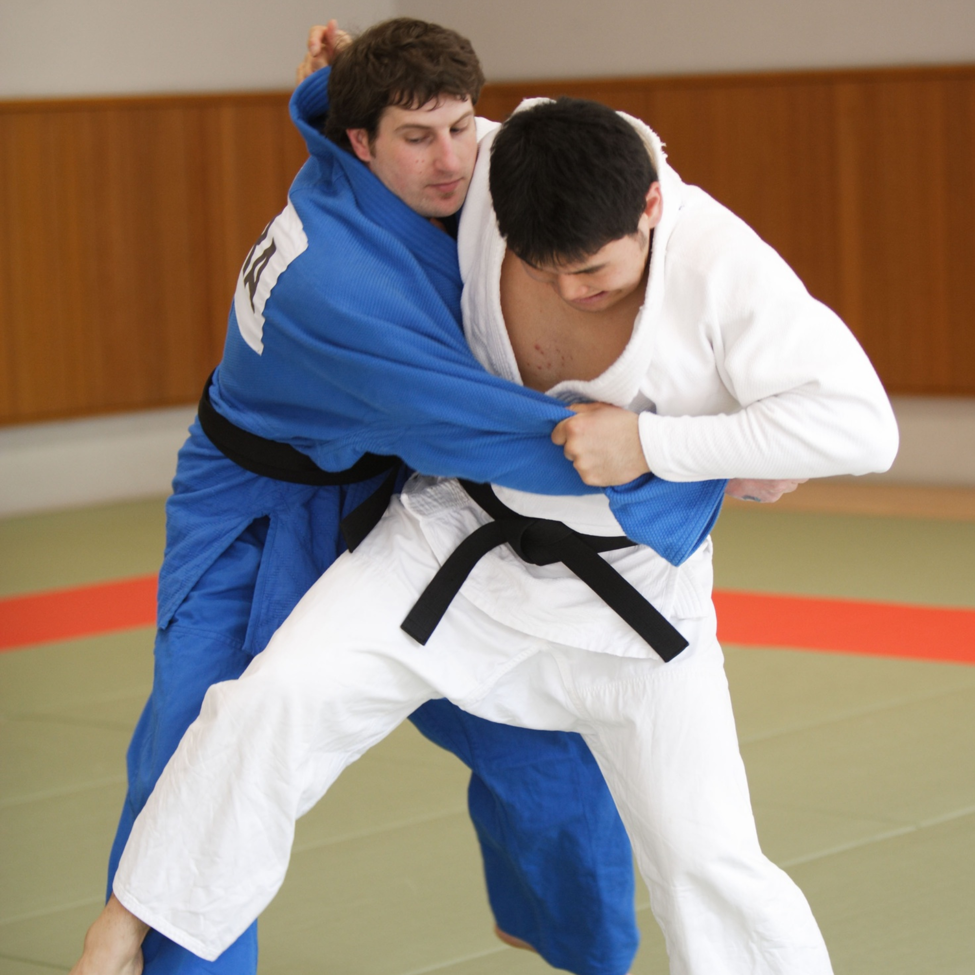 Spirito, Tecnica e Forza Fisica — 心技体 (Shin-Gi-Tai)
