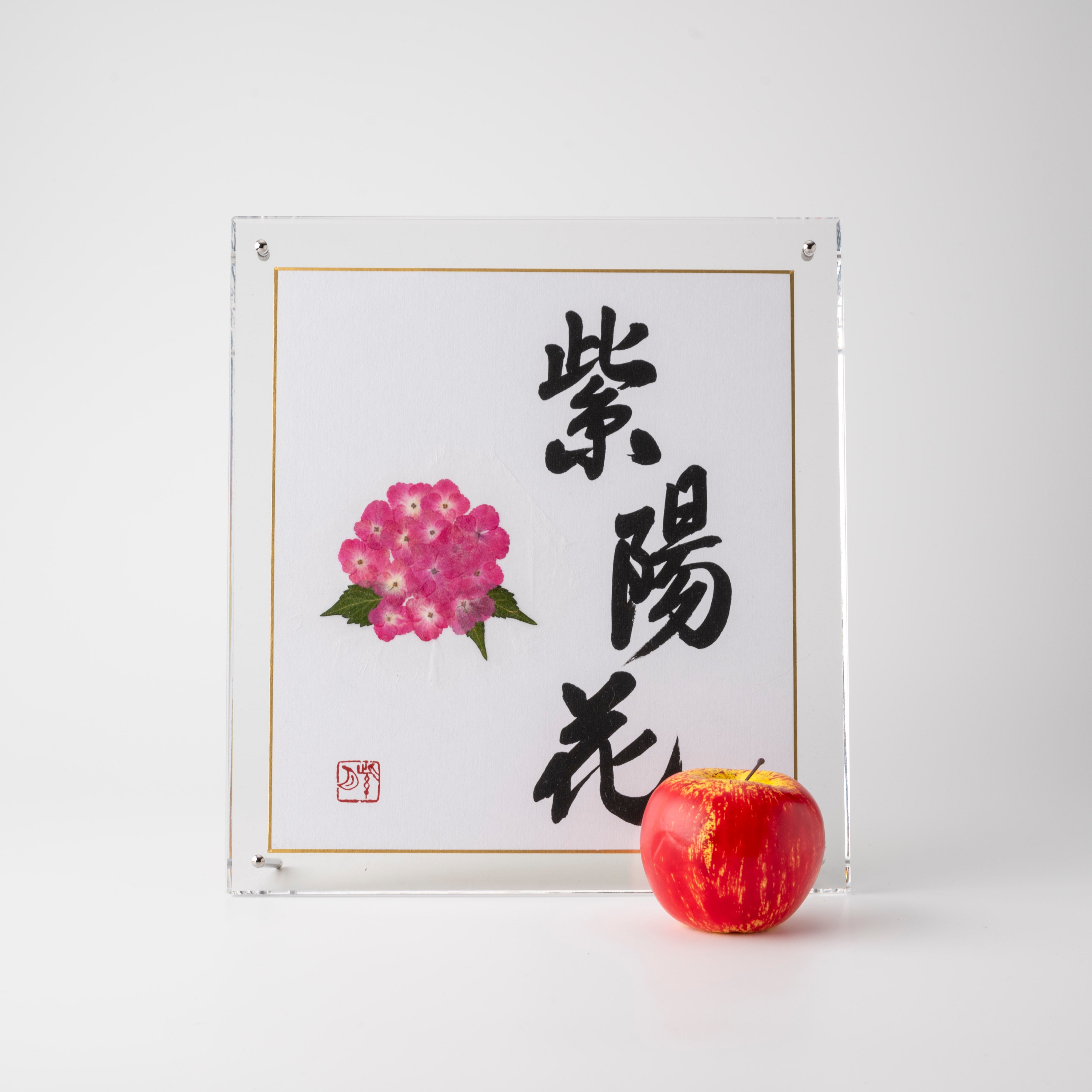 Pressed Flower Ajisai "Hydrangea" in Japanese - Acrylic Clear Frame, Design 1 (Free Shipping)