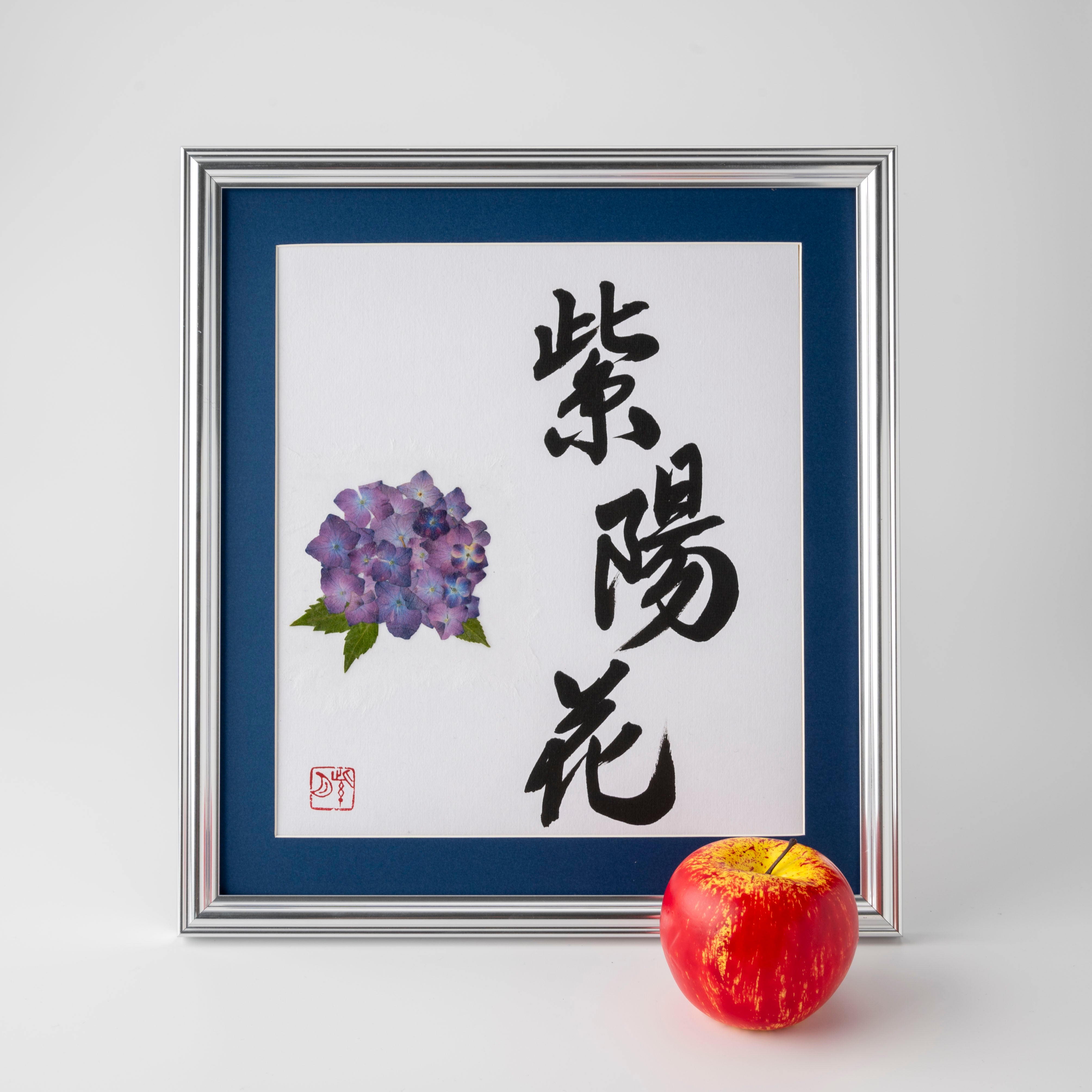 Pressed Flower Ajisai "Hydrangea" in Japanese - Silver Frame with Blue Mat, Design 2 (Free Shipping)