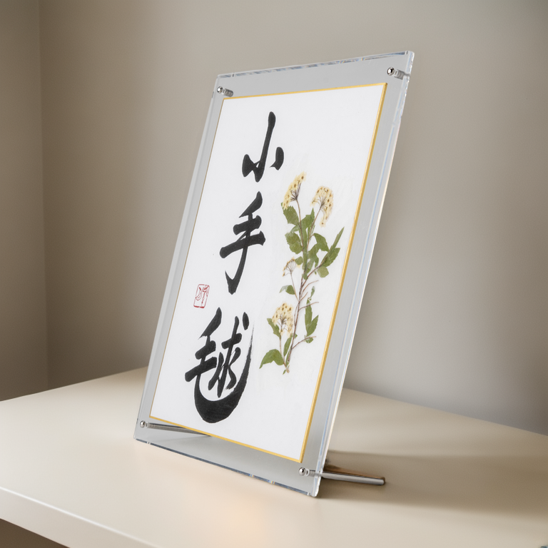 Pressed Flower Kodemari "Reeves Spirea" in Japanese - Acrylic Clear Frame,  Design 1 (Free Shipping)